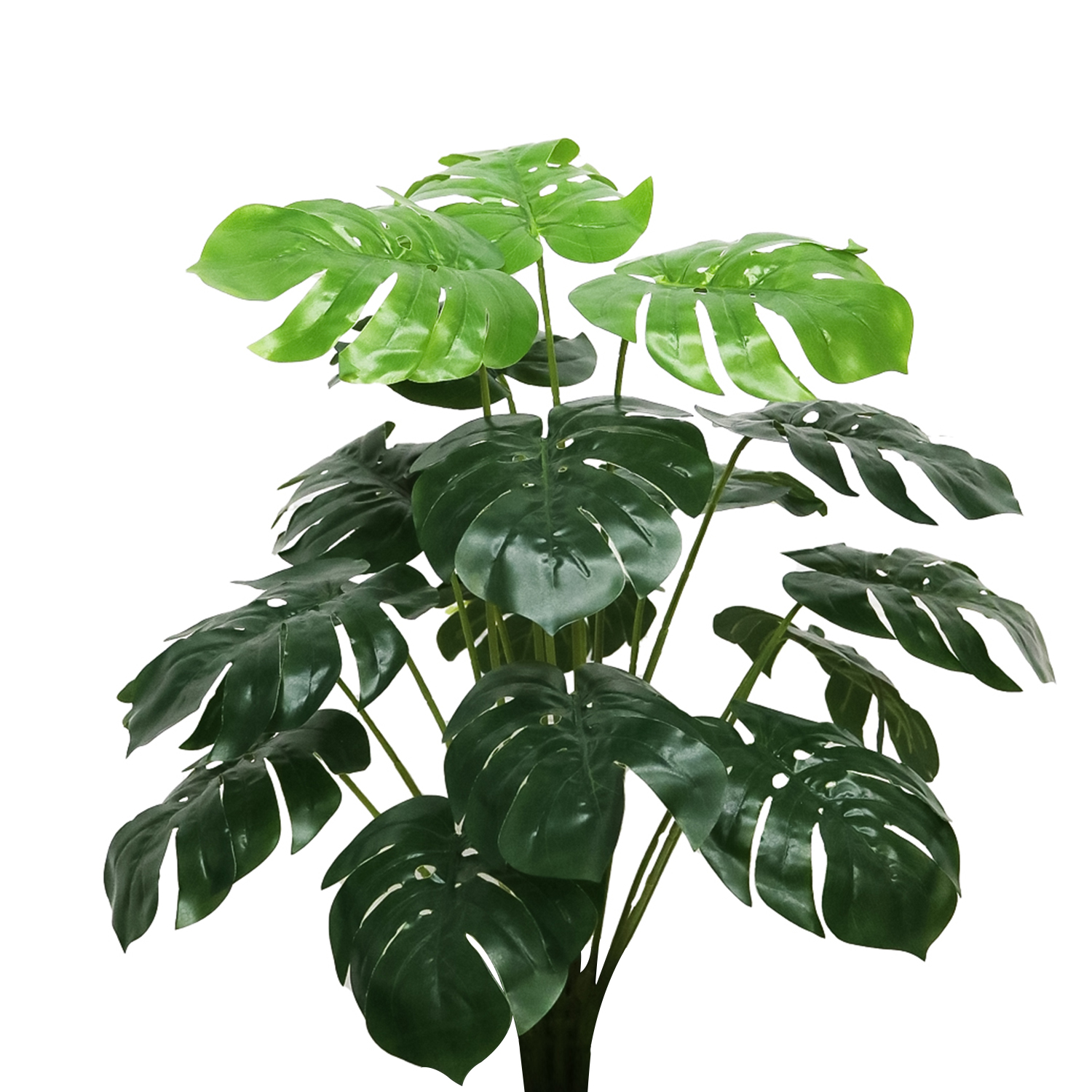 Pachet Monstera 75 cm + Orhidee Artificiala 35 cm in Ghiveci Ceramic - 7