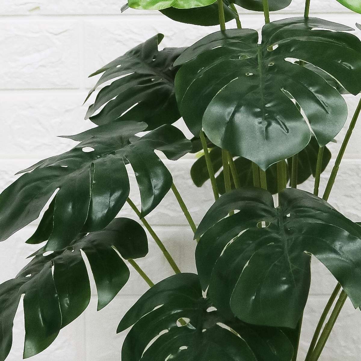 Pachet Monstera 75 cm + Orhidee Artificiala 35 cm in Ghiveci Ceramic - 8