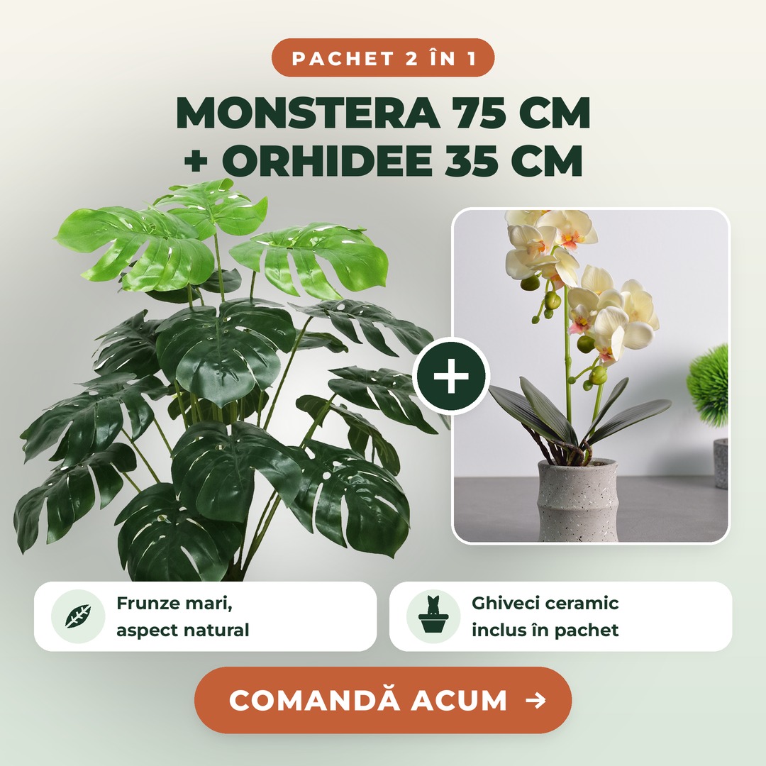 Pachet Monstera 75 cm + Orhidee Artificiala 35 cm in Ghiveci Ceramic - 5