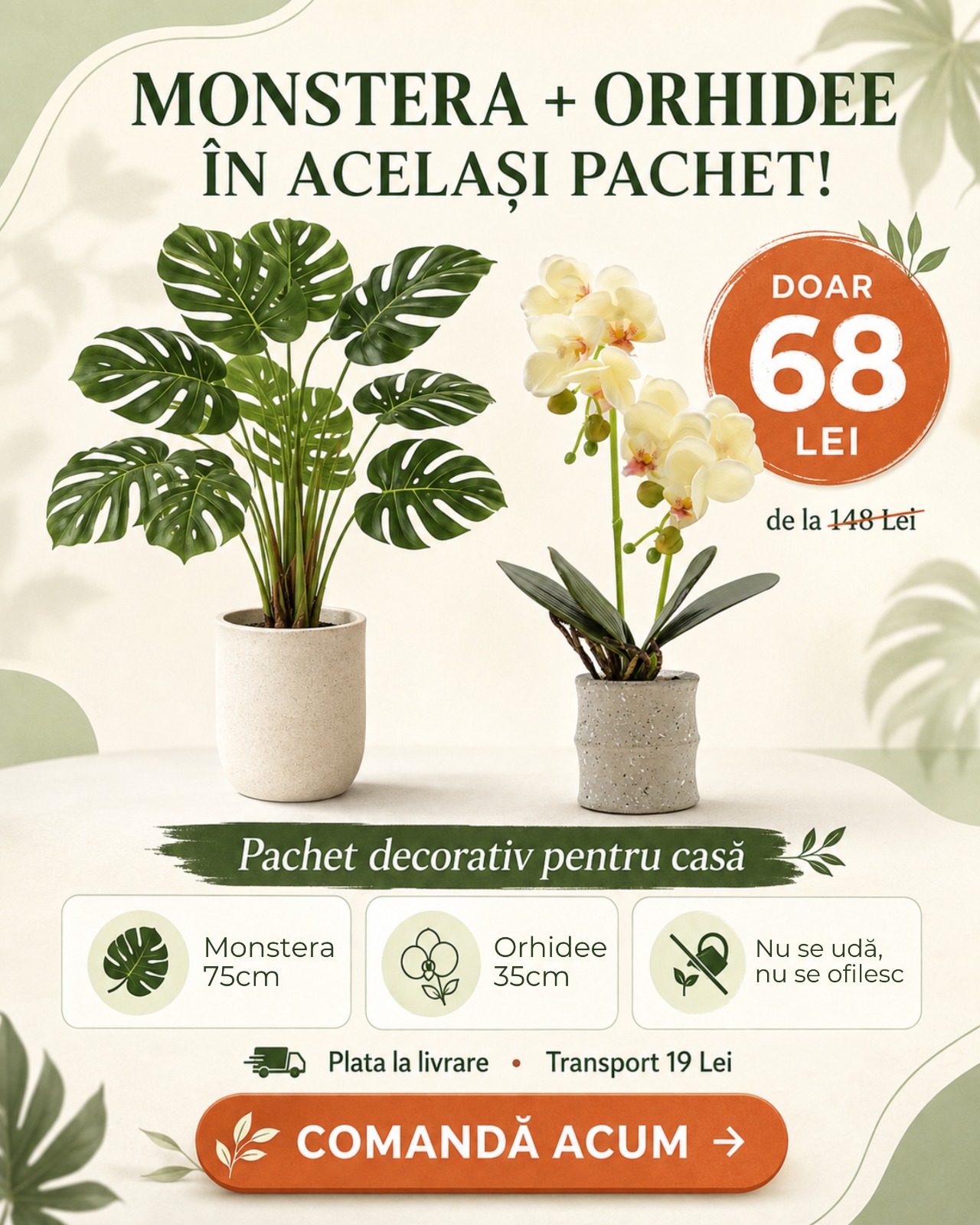 Pachet Monstera 75 cm + Orhidee Artificiala 35 cm in Ghiveci Ceramic - 6