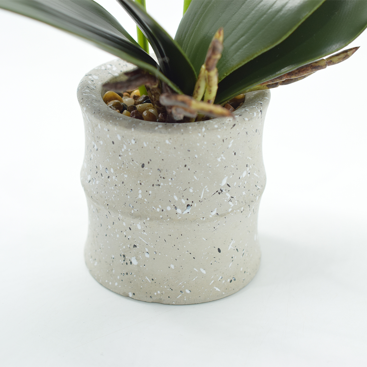 Pachet Monstera 75 cm + Orhidee Artificiala 35 cm in Ghiveci Ceramic - 4