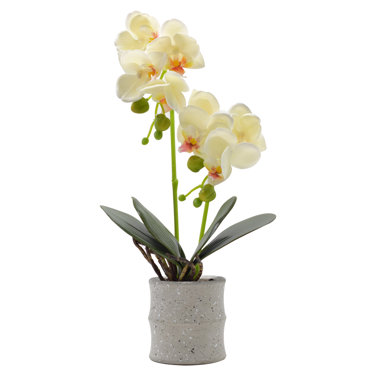 Pachet Monstera 75 cm + Orhidee Artificiala 35 cm in Ghiveci Ceramic