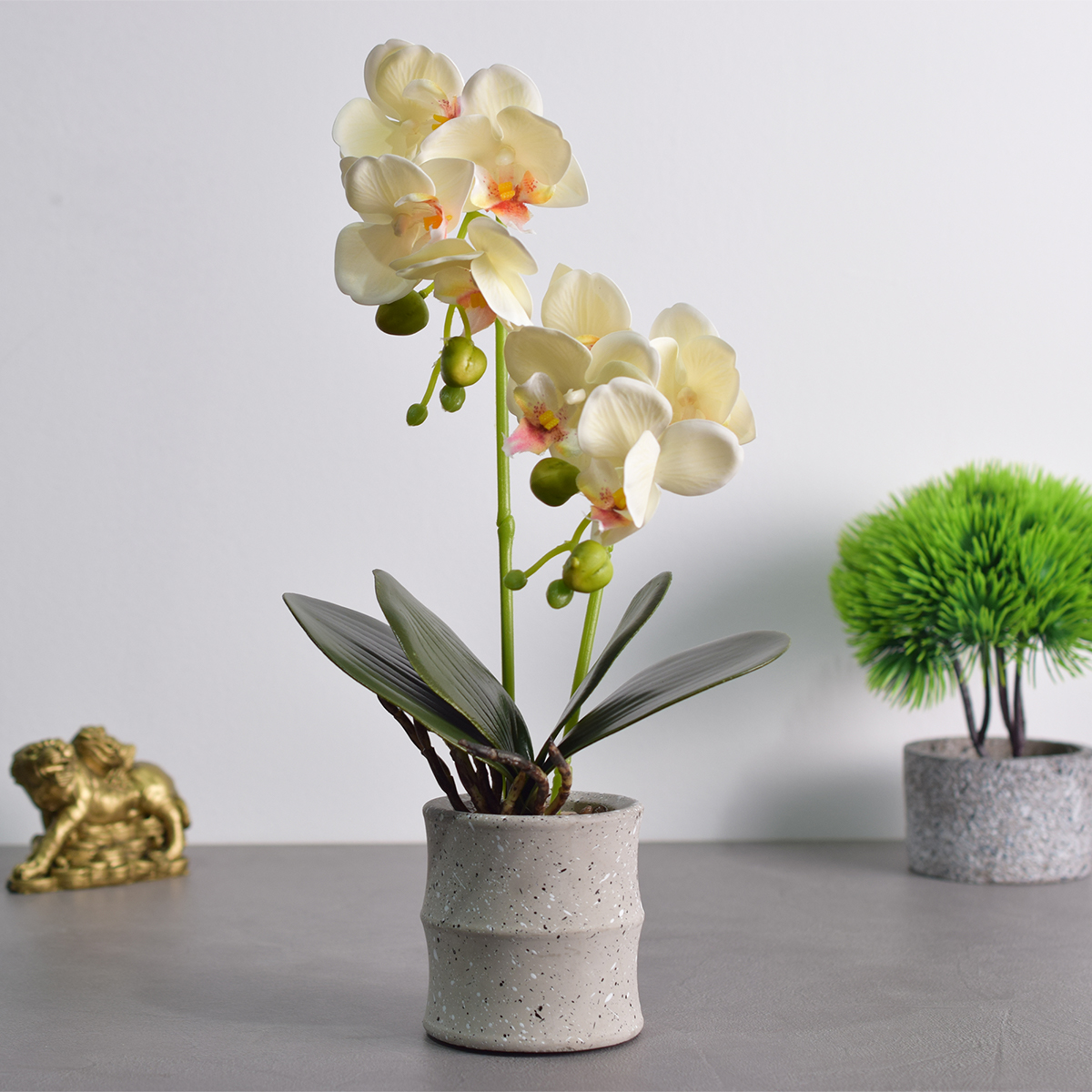 Pachet Monstera 75 cm + Orhidee Artificiala 35 cm in Ghiveci Ceramic - 3