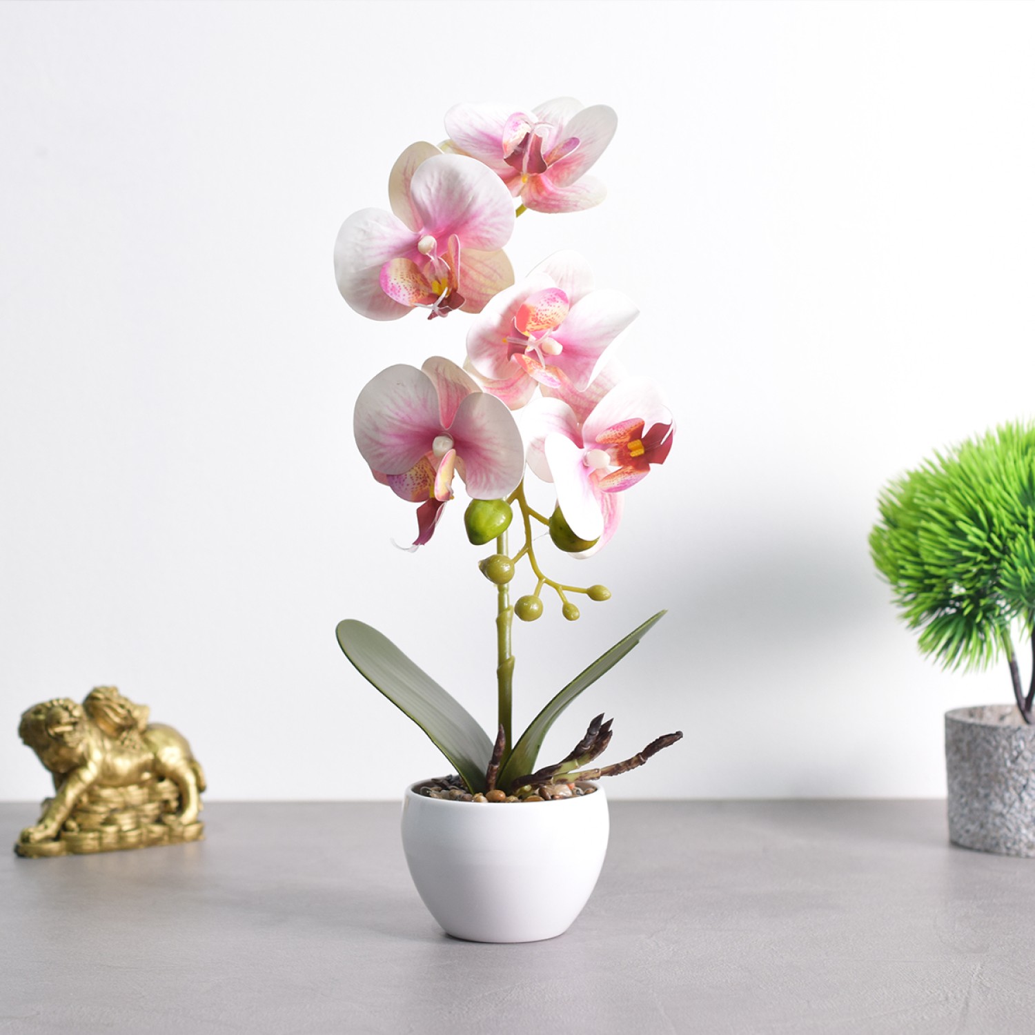 Orhidee cu Aspect Natural in Ghiveci Ceramic - 2